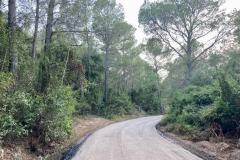 Subvencions Excepcionals 2021
